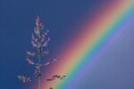 Los Colores De La Vida…