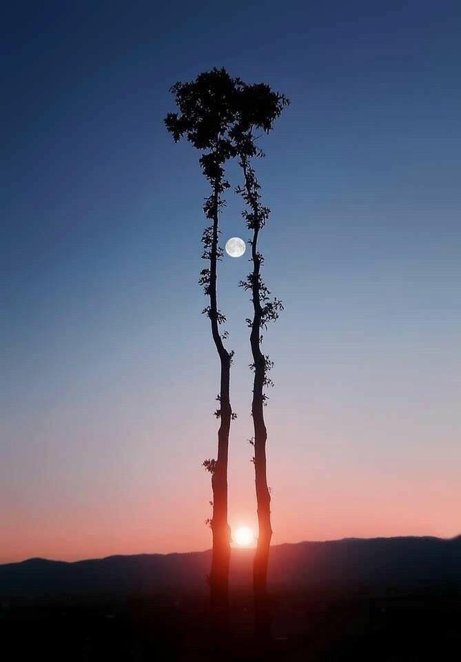 cuando el sol sale al encuentro con la luna....
