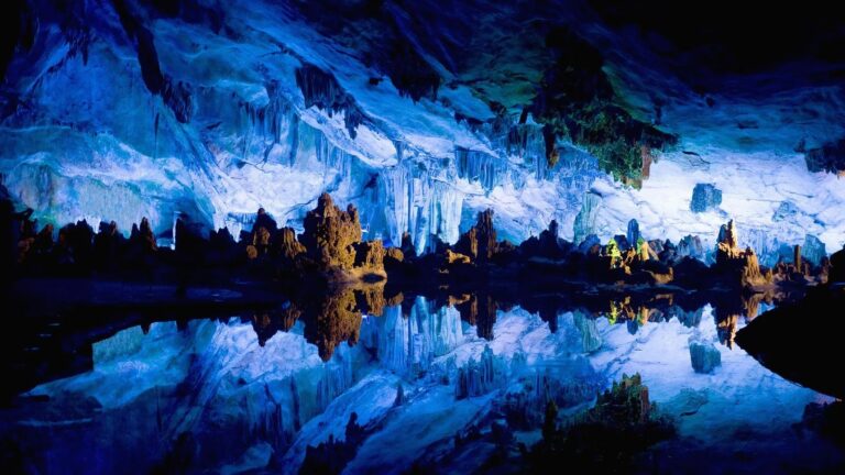 Lee más sobre el artículo Un Mundo Mágico Bajo Tierra, Las Cuevas de Waitomo…
