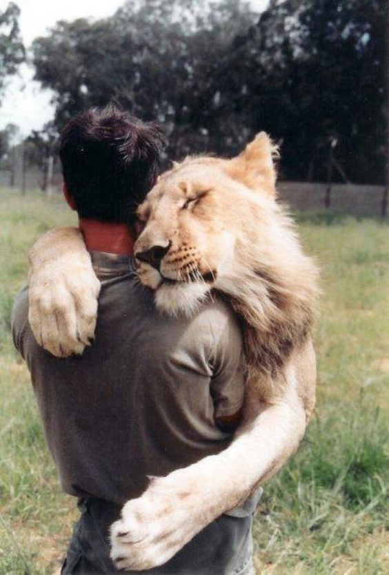 un abrazo